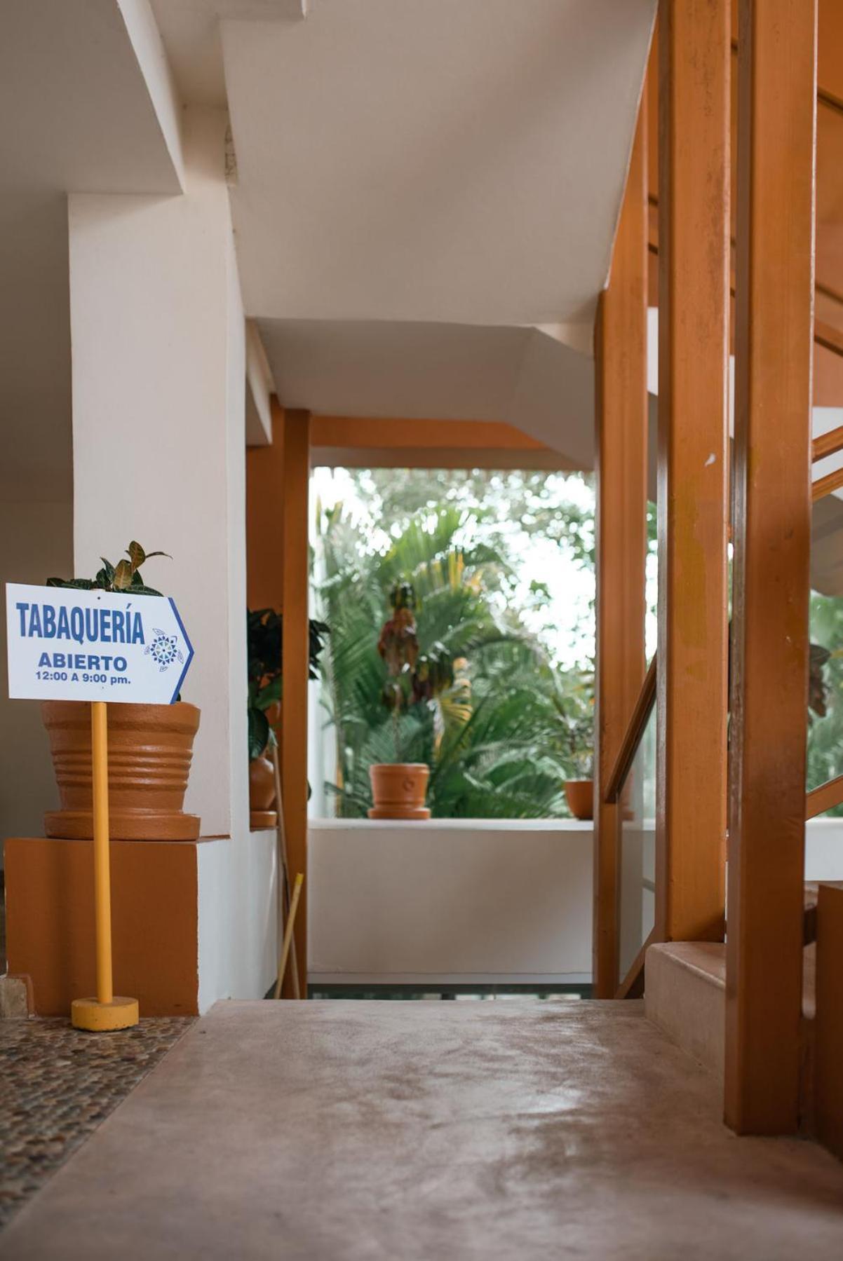 Hotel Ixzi Plus Ixtapa  Buitenkant foto